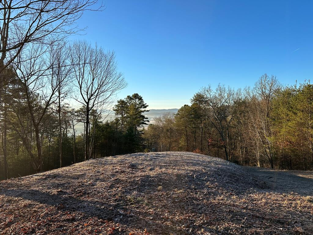 8-9 Mistletoe Ridge Murphy, NC 28906 - Photo 25 of 25