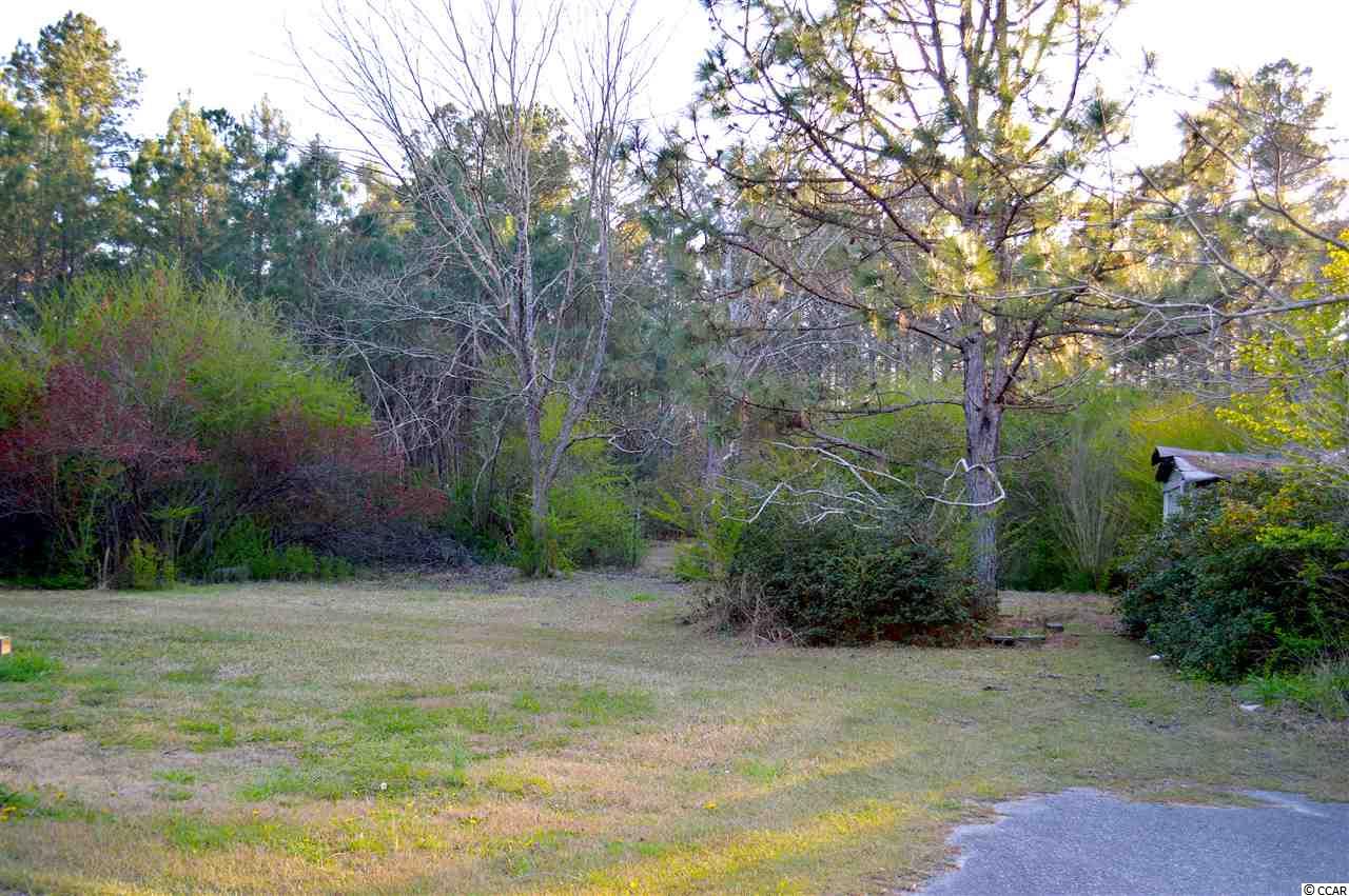 1367 West Bear Grass Road Longs, SC 29568 - Photo 6 of 10 Gallery Image 6