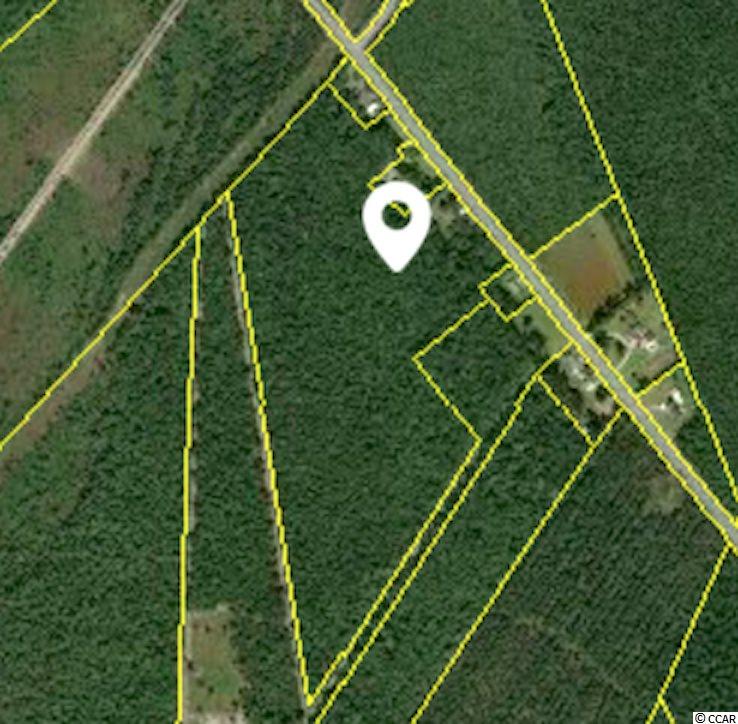 1367 West Bear Grass Road Longs, SC 29568 - Photo 9 of 10 Gallery Image 9