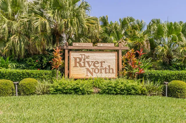 a view of a garden with plants