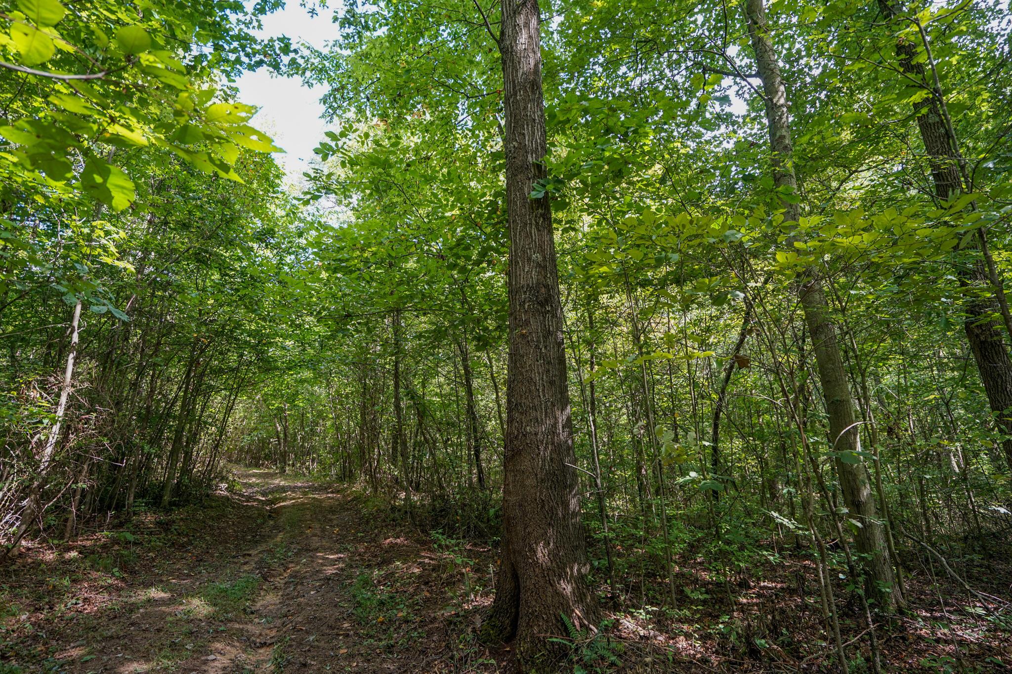 0 Kottcamp Road Hamden, OH 45634 - Photo 29 of 56 DSC09337