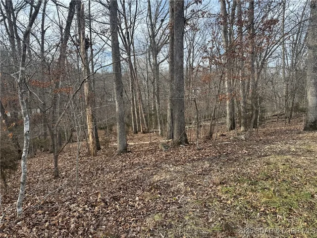 $17,500 | Lot 749 Fairlawn Dr Lake, Lake Ozark, MO 65049