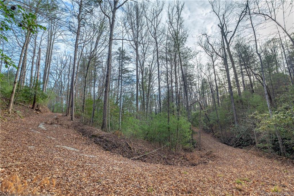 3842 Table Rock Road Morganton, NC 28655 - Photo 7 of 15 Gallery Image 7