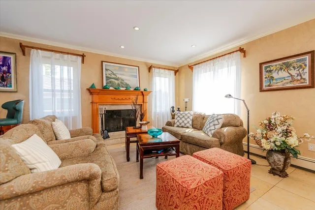 a living room with furniture flower pot and a fireplace