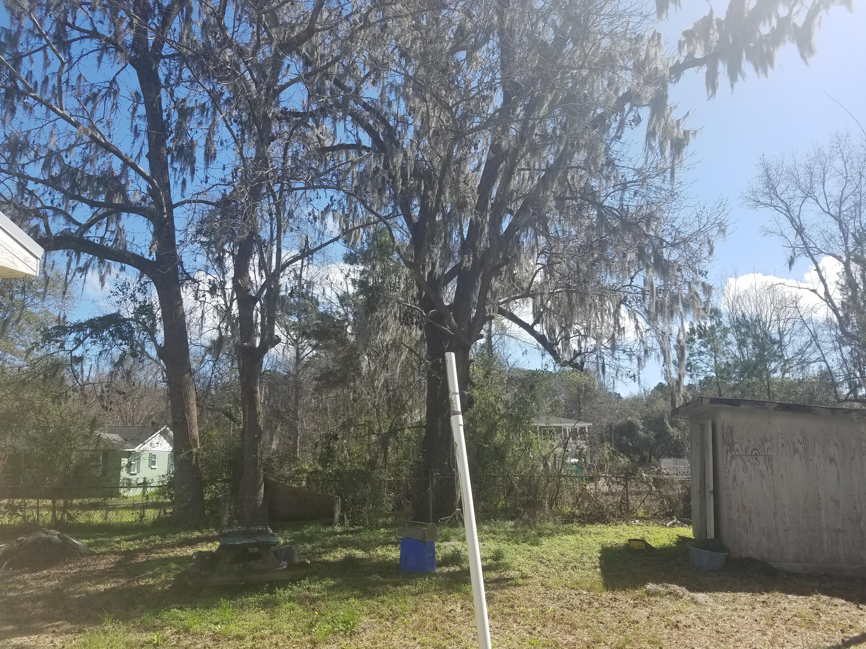 2765 Rifle Range Road Mount Pleasant, SC 29466 - Photo 4 of 10 2765 rifle range backyard
