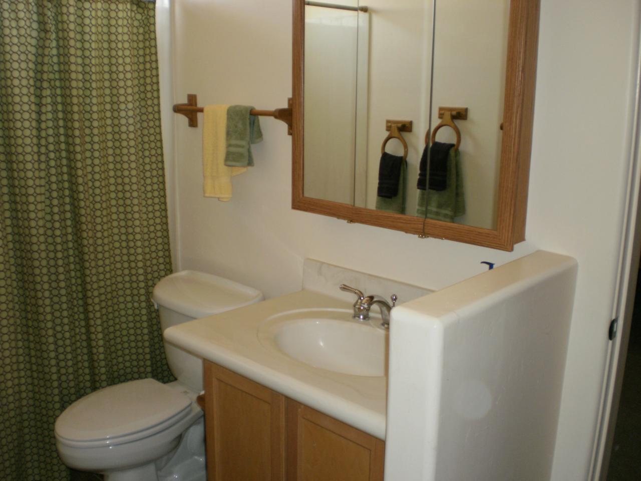 4581 North Cactus Road Apache Junction, AZ 85119 - Photo 7 of 51 Bathroom2