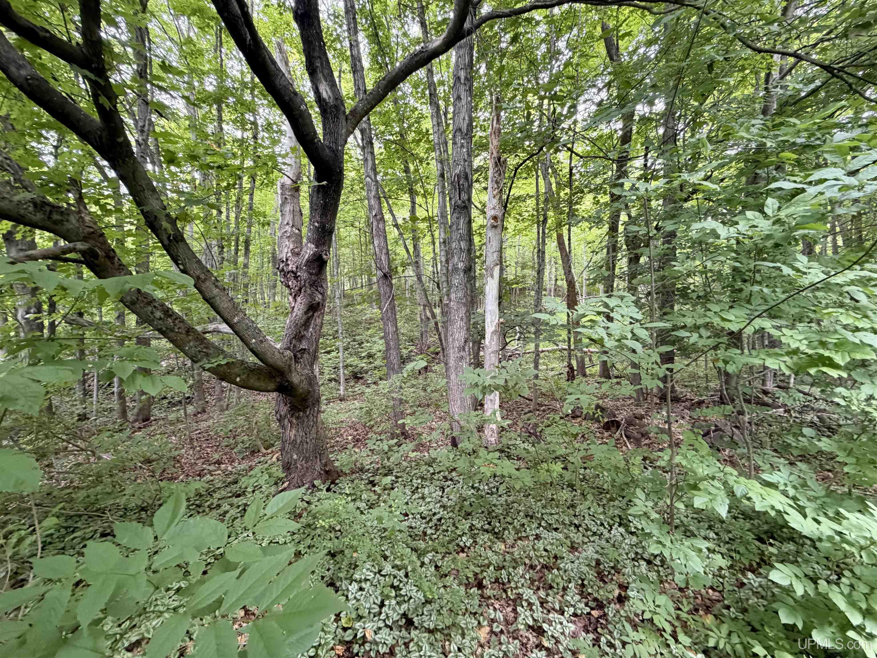 21342 Royce Road Hancock, MI 49930 - Photo 73 of 94