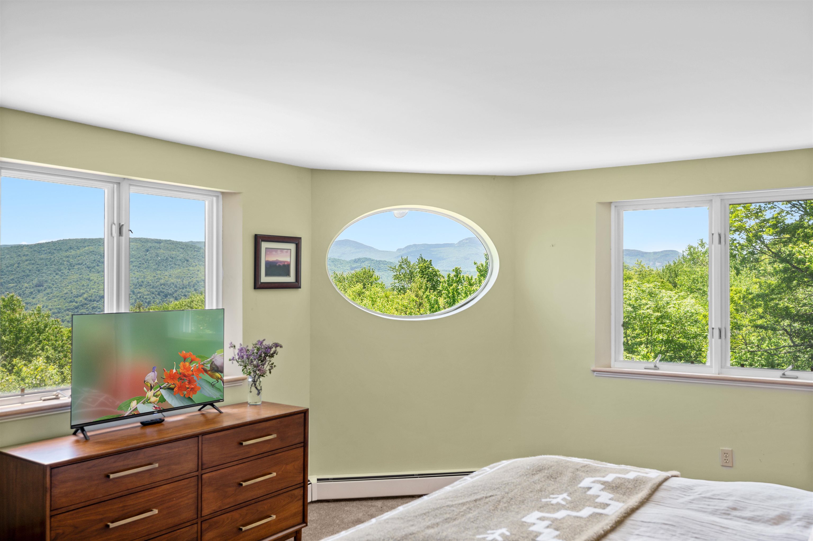 119 Pinnacle Point Waterbury, VT 05676 - Photo 48 of 60