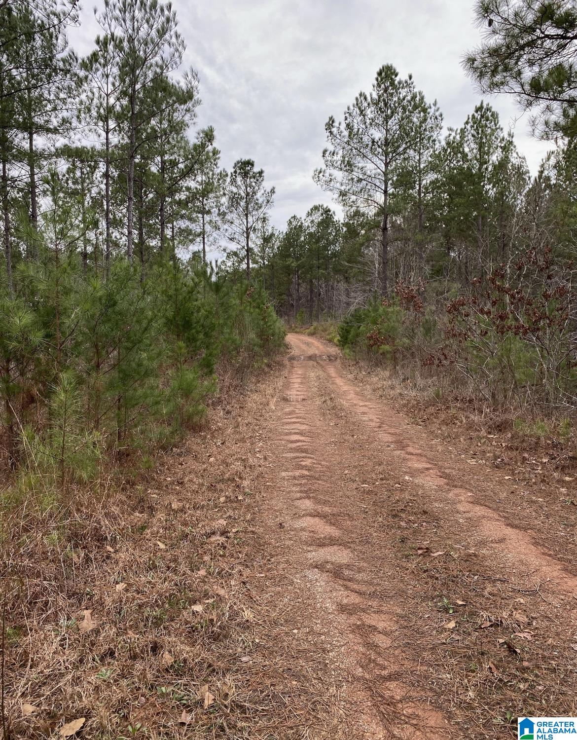 0 Highway 145 Clanton, AL 35046 - Photo 2 of 4