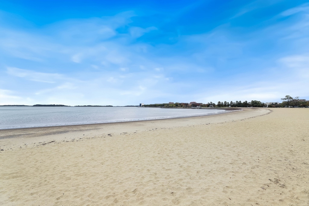 8 Spring Garden Street, Unit 3 Boston, MA 02125 - Photo 34 of 37 a view of an ocean and beach
