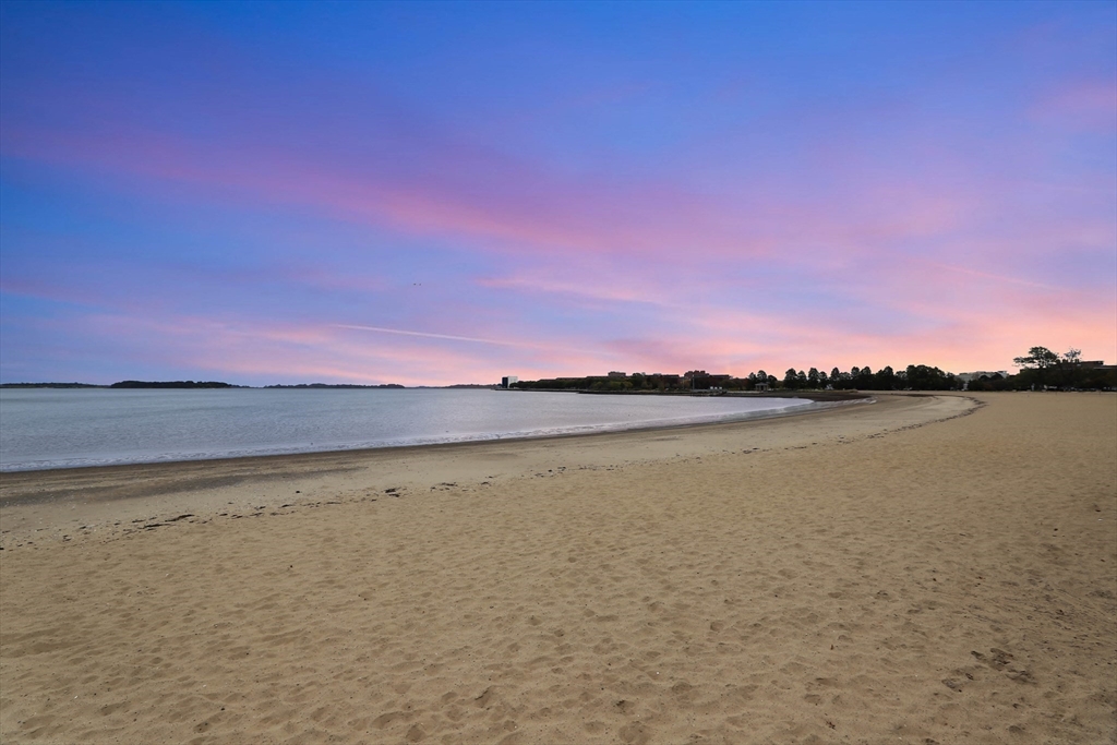 8 Spring Garden Street, Unit 3 Boston, MA 02125 - Photo 35 of 37 a view of lake and mountain