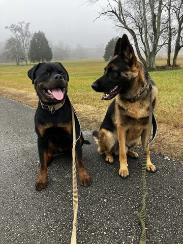 a view of a yard with furniture and a lake view