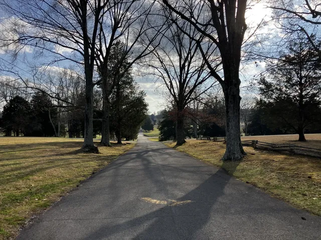 a view of a park with trees