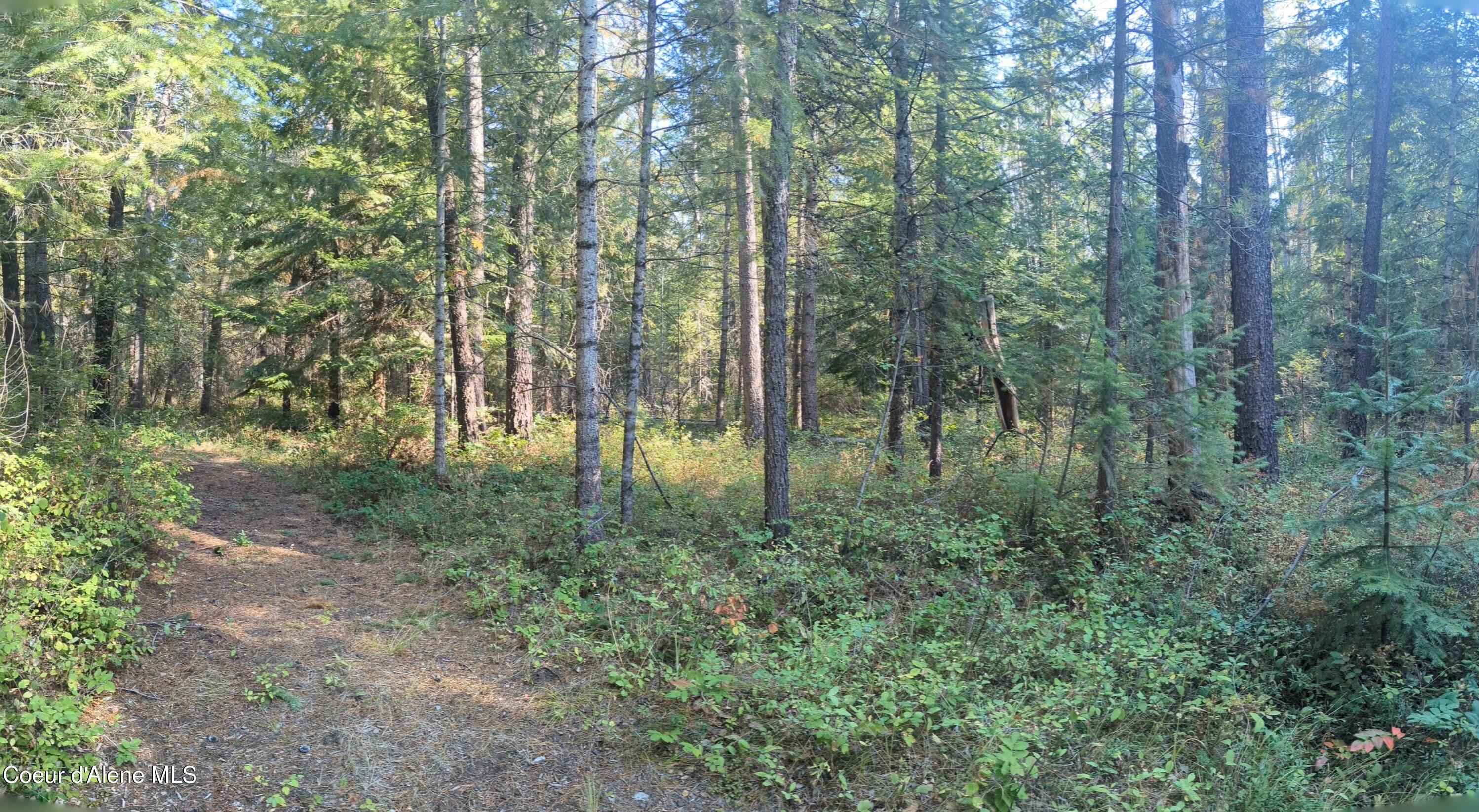 1555 East Ohio Match Road Rathdrum, ID 83858 - Photo 11 of 18 13