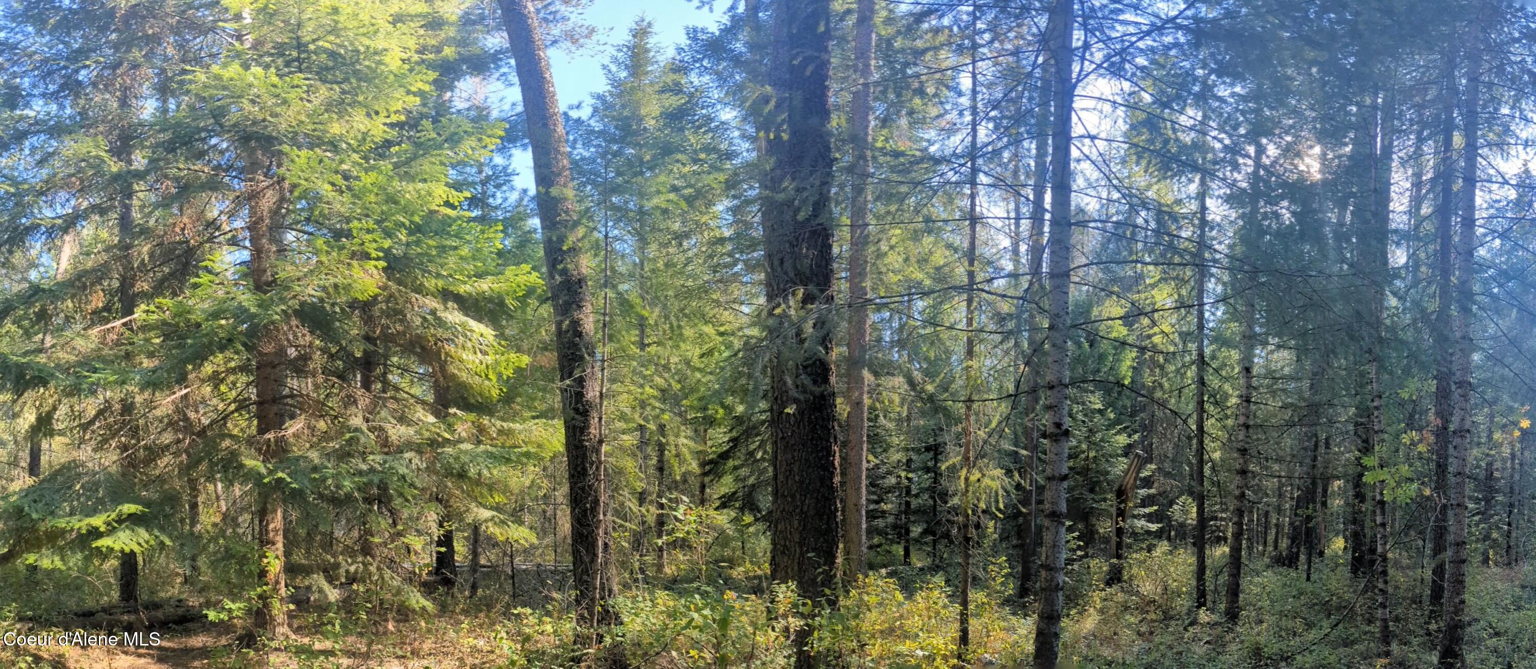 1555 East Ohio Match Road Rathdrum, ID 83858 - Photo 13 of 18 15