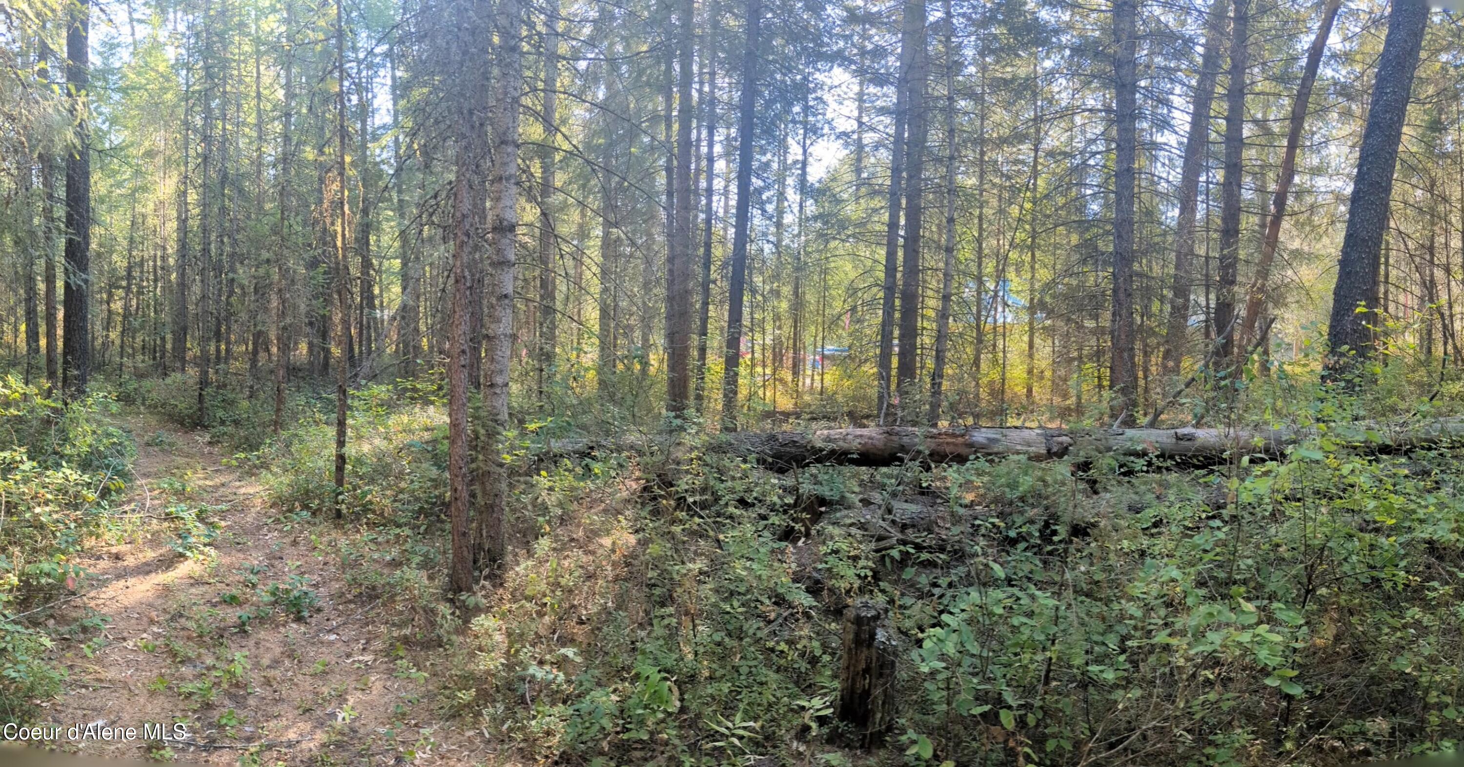 1555 East Ohio Match Road Rathdrum, ID 83858 - Photo 14 of 18 16