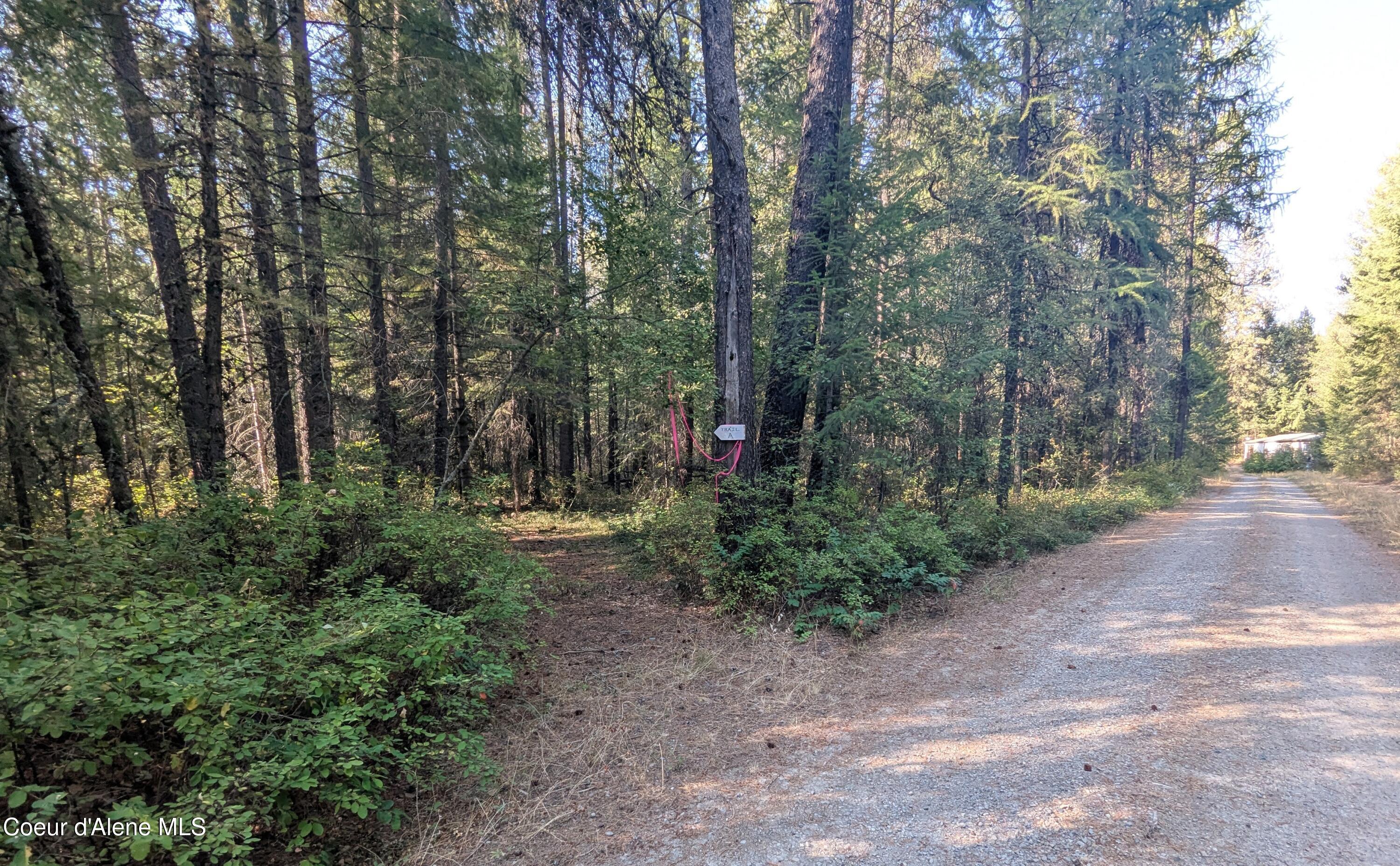 1555 East Ohio Match Road Rathdrum, ID 83858 - Photo 16 of 18 20