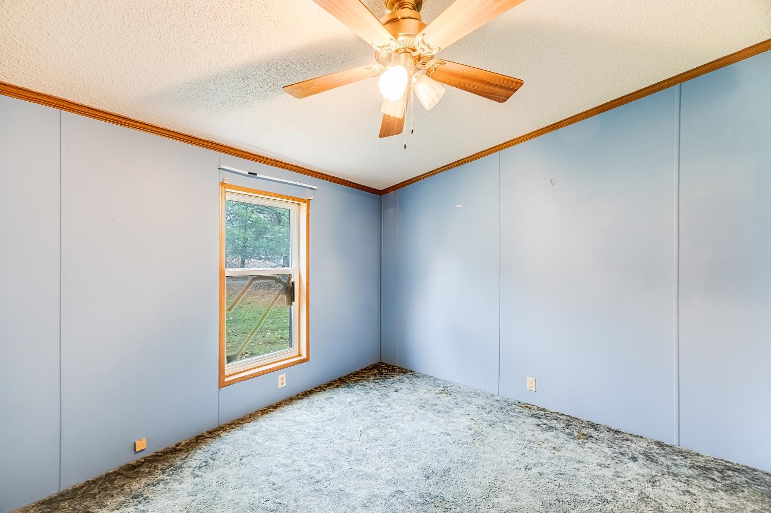 14156 Jim Run Road Laurel, IN 47024 - Photo 12 of 57