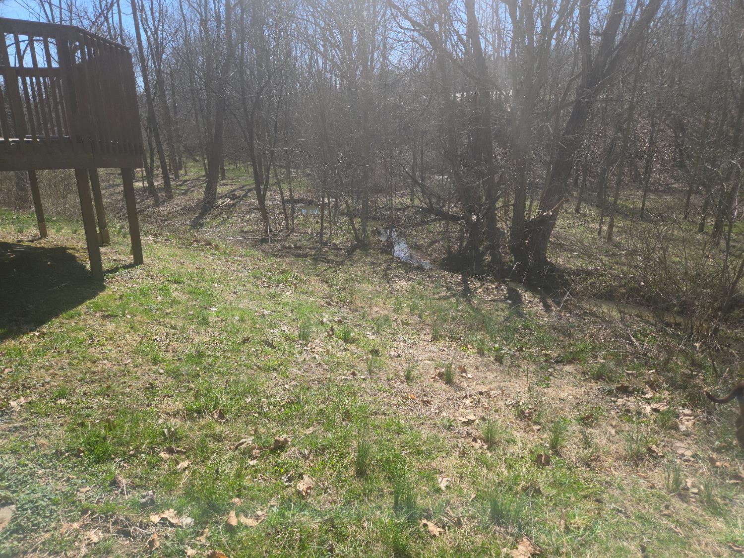 14156 Jim Run Road Laurel, IN 47024 - Photo 56 of 57