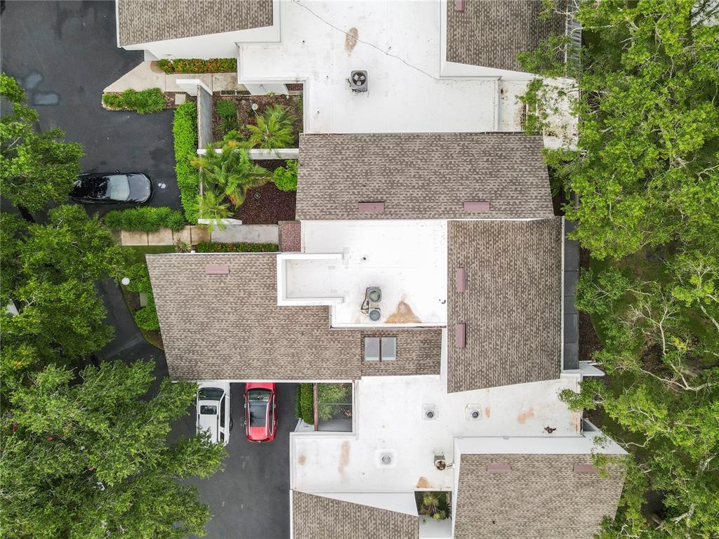 14223 Cypress Circle, Unit 14223 Tampa, FL 33618 - Photo 54 of 55