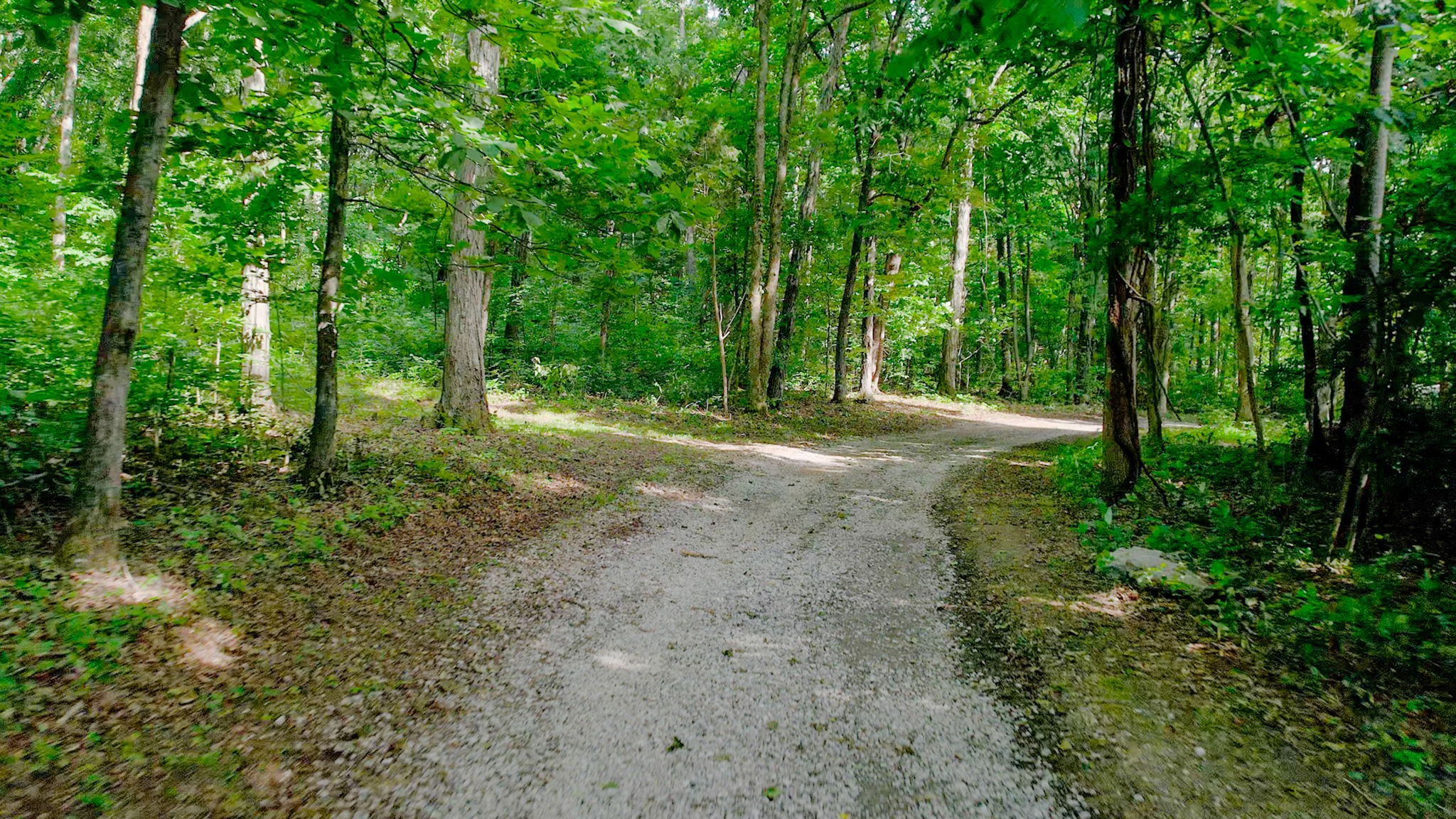 3398 Poplar Hill Road Watertown, TN 37184 - Photo 60 of 62
