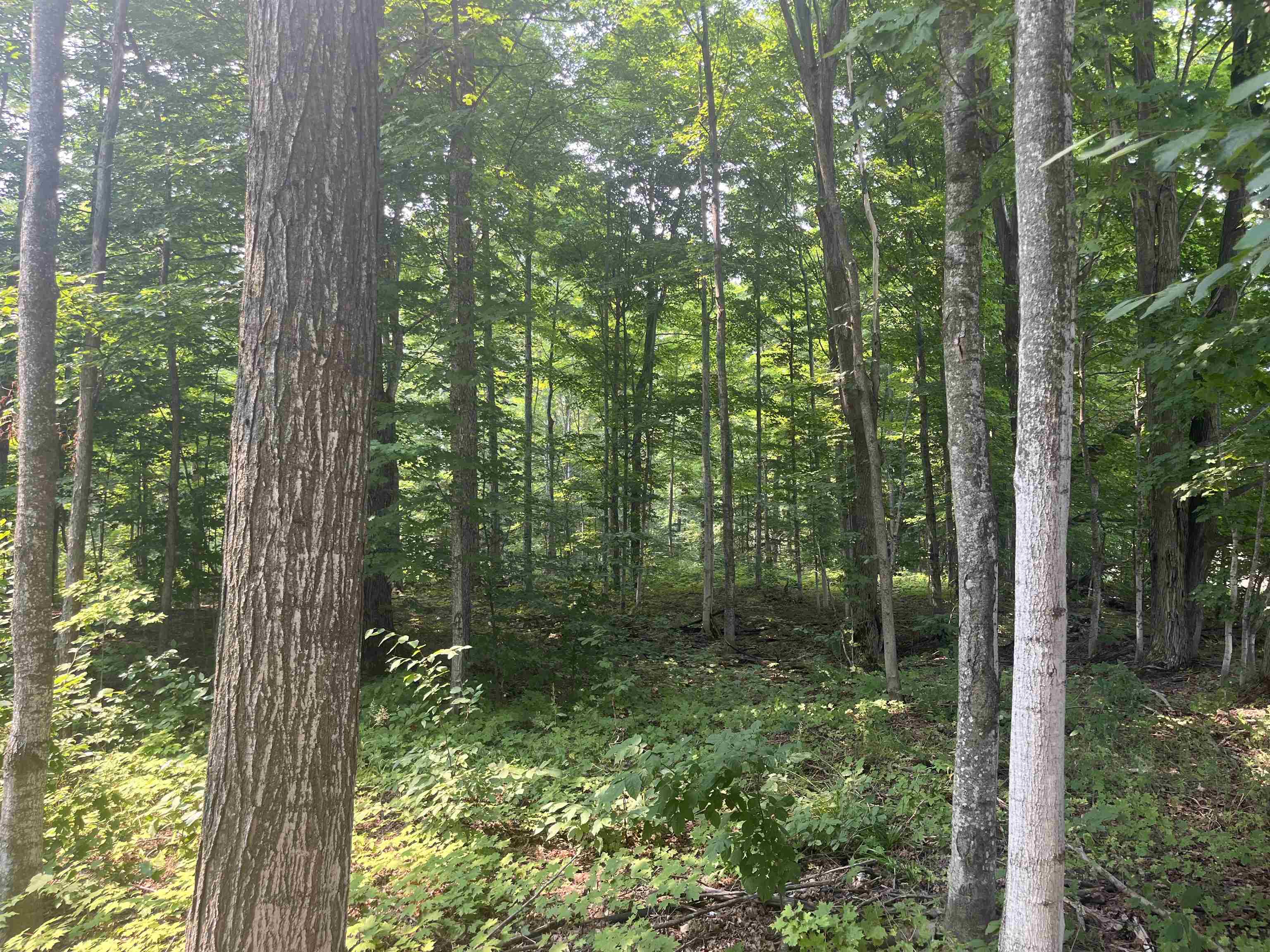 Ramsay Road Thompsonville, MI 49683 - Photo 10 of 17 Gallery Image 10