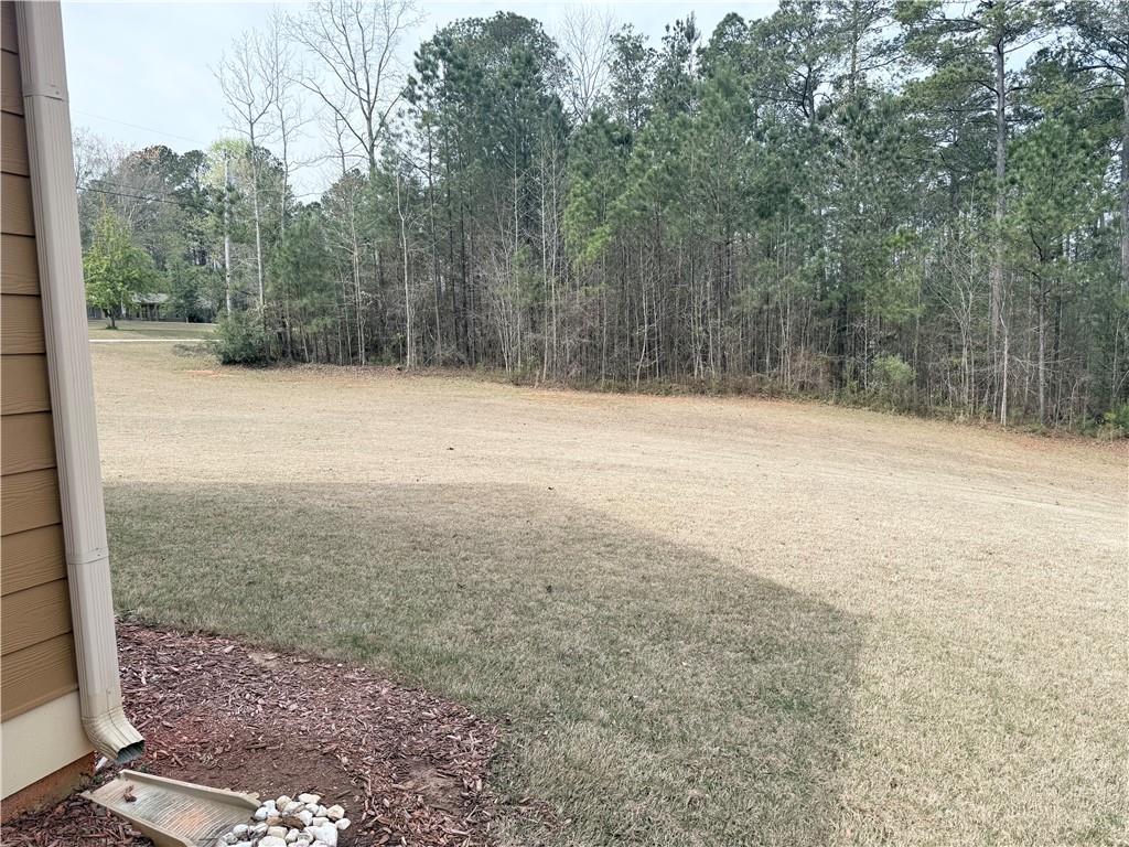 160 Hickory Lane Covington, GA 30016 - Photo 49 of 50