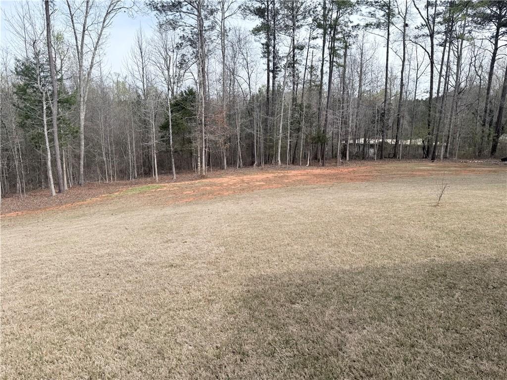 160 Hickory Lane Covington, GA 30016 - Photo 50 of 50