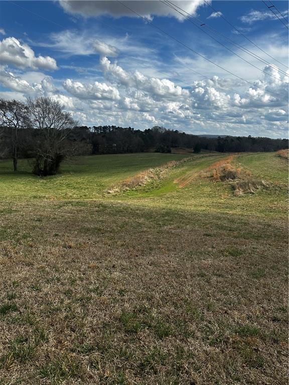 80 Potash Road Cedartown, GA 30125 - Photo 11 of 38