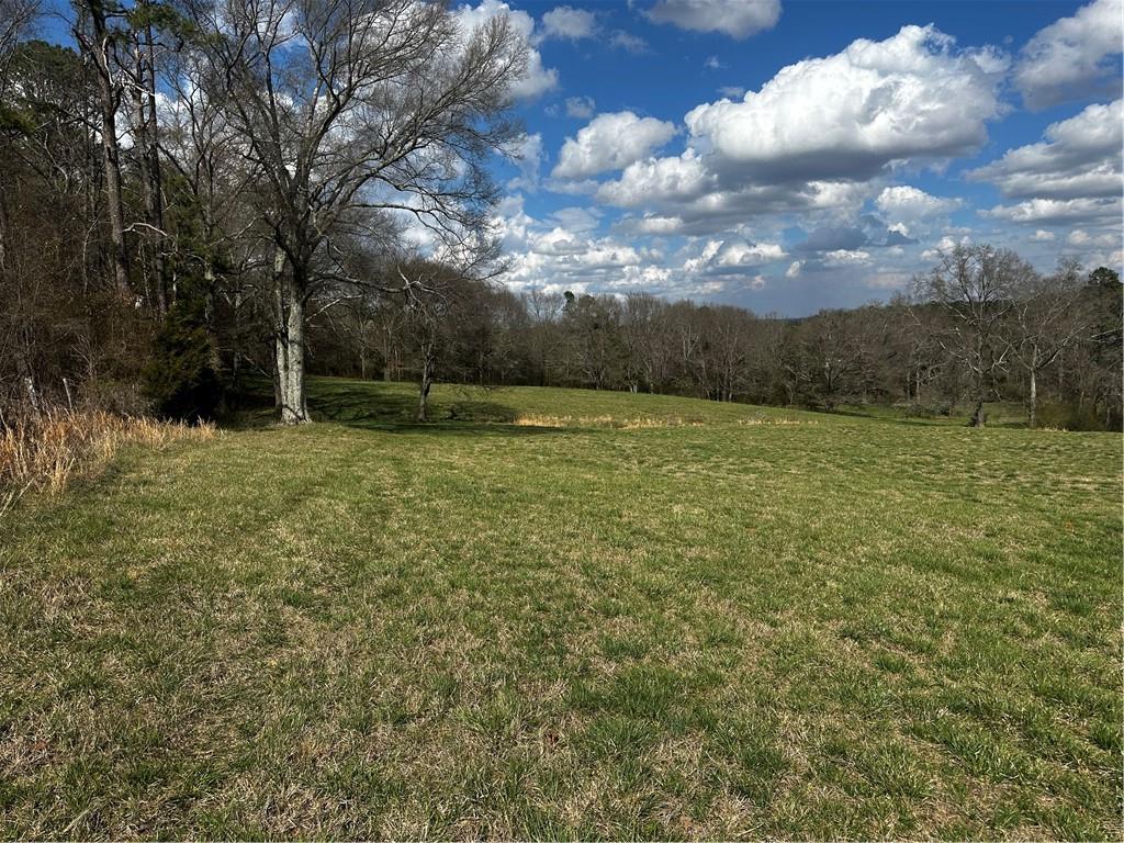 80 Potash Road Cedartown, GA 30125 - Photo 14 of 38