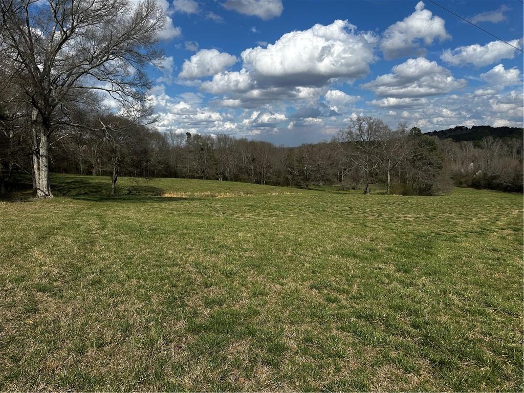 80 Potash Road Cedartown, GA 30125 - Photo 15 of 38