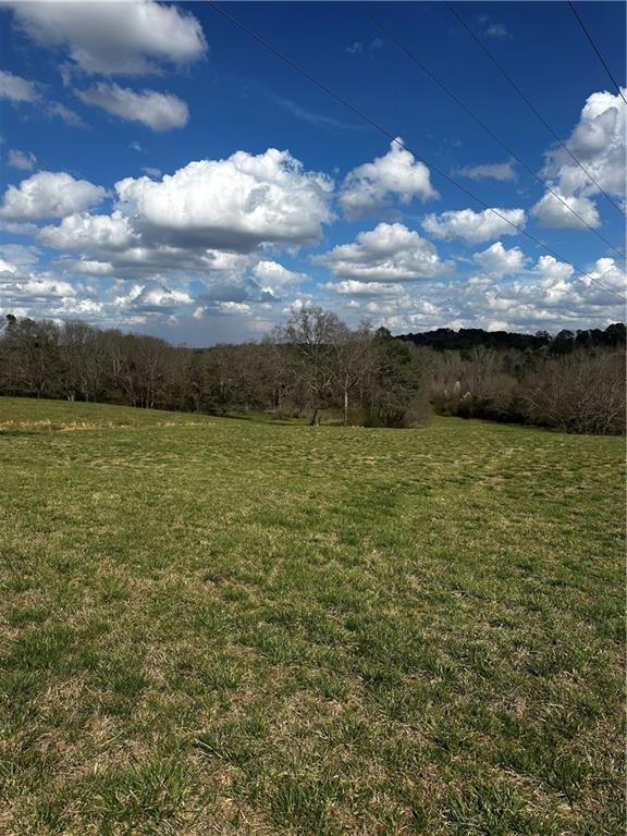 80 Potash Road Cedartown, GA 30125 - Photo 18 of 38