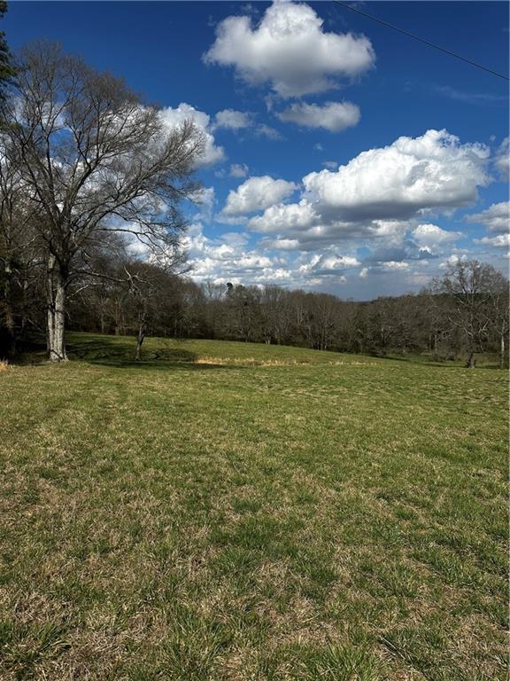 80 Potash Road Cedartown, GA 30125 - Photo 19 of 38