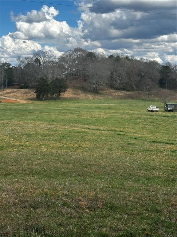 80 Potash Road Cedartown, GA 30125 - Photo 2 of 38