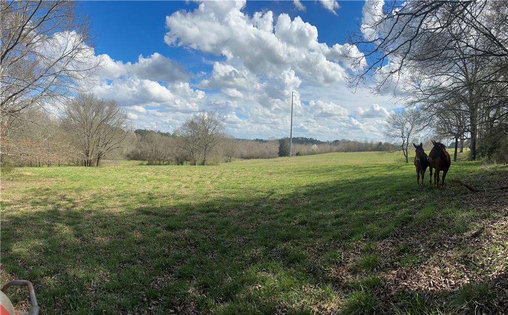 80 Potash Road Cedartown, GA 30125 - Photo 21 of 38