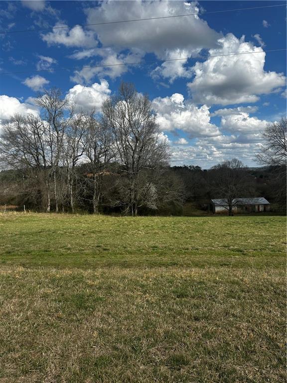 80 Potash Road Cedartown, GA 30125 - Photo 29 of 38