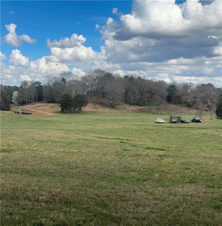 80 Potash Road Cedartown, GA 30125 - Photo 3 of 38