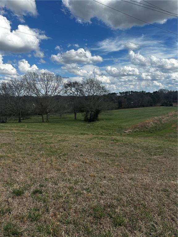 80 Potash Road Cedartown, GA 30125 - Photo 34 of 38