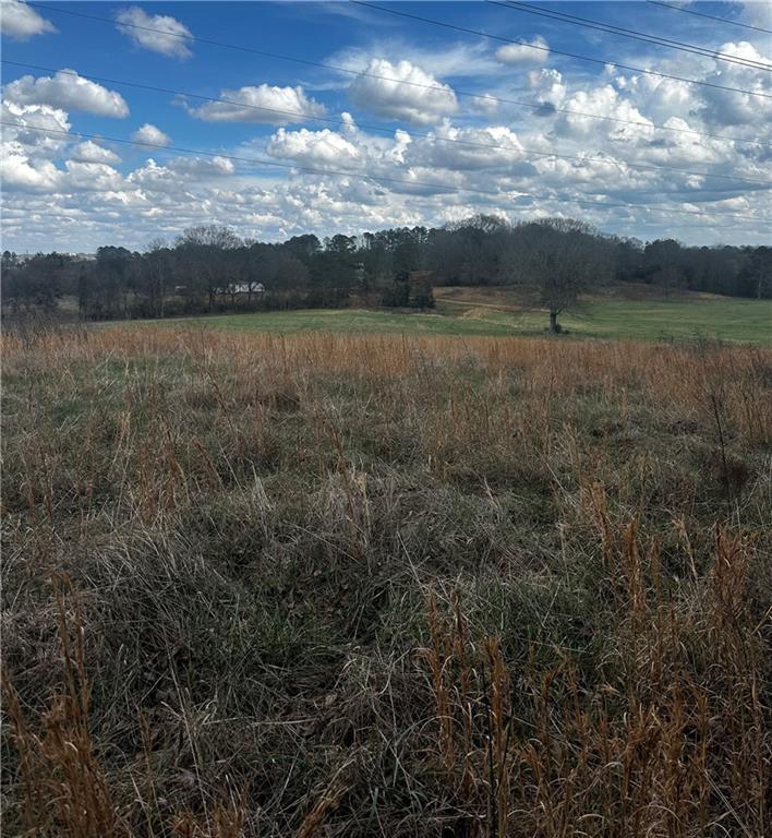 80 Potash Road Cedartown, GA 30125 - Photo 36 of 38