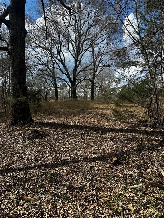 80 Potash Road Cedartown, GA 30125 - Photo 38 of 38