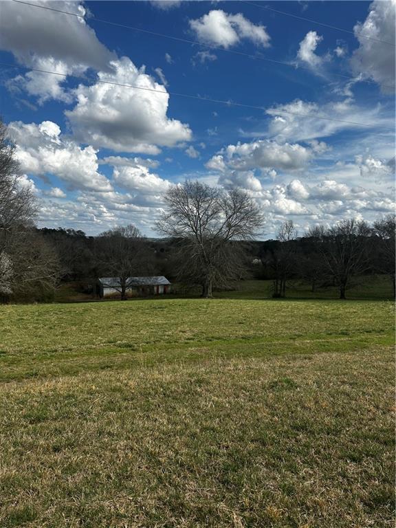 80 Potash Road Cedartown, GA 30125 - Photo 4 of 38