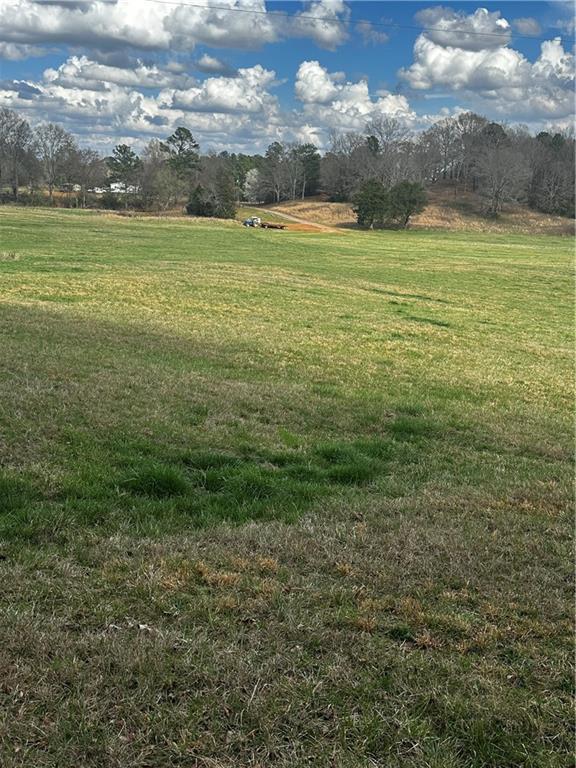 80 Potash Road Cedartown, GA 30125 - Photo 5 of 38