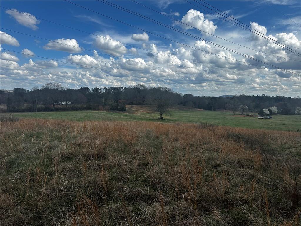 80 Potash Road Cedartown, GA 30125 - Photo 9 of 38
