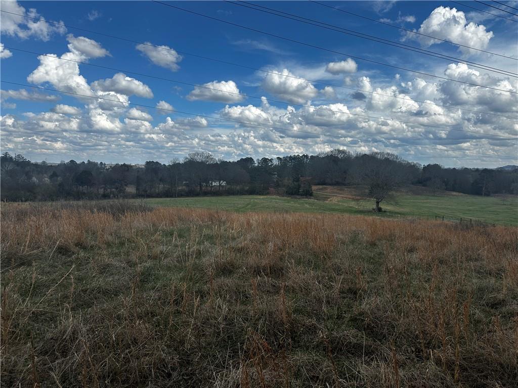 80 Potash Road Cedartown, GA 30125 - Photo 10 of 38