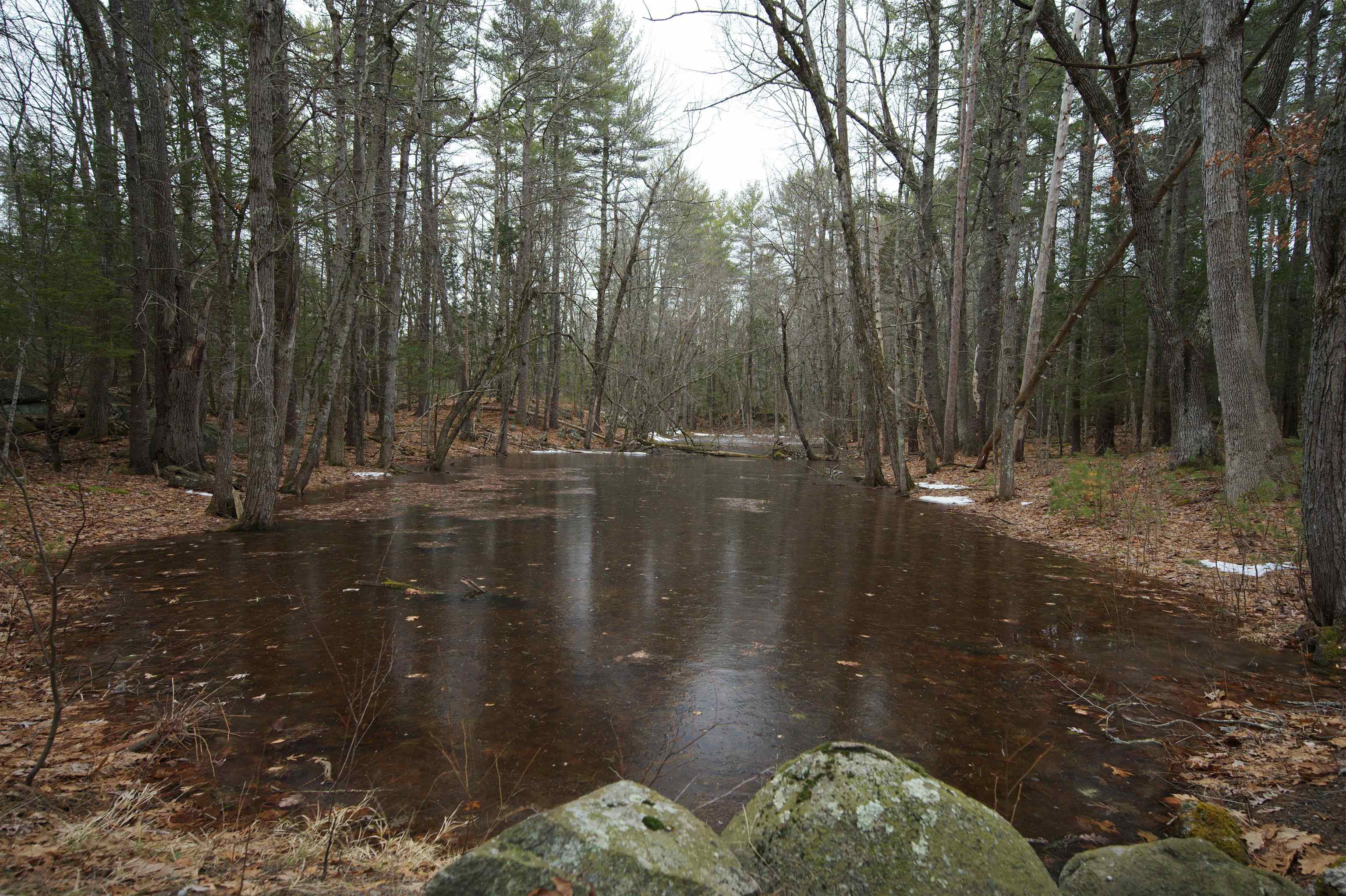 402 Bay Road Durham, NH 03824 - Photo 58 of 60