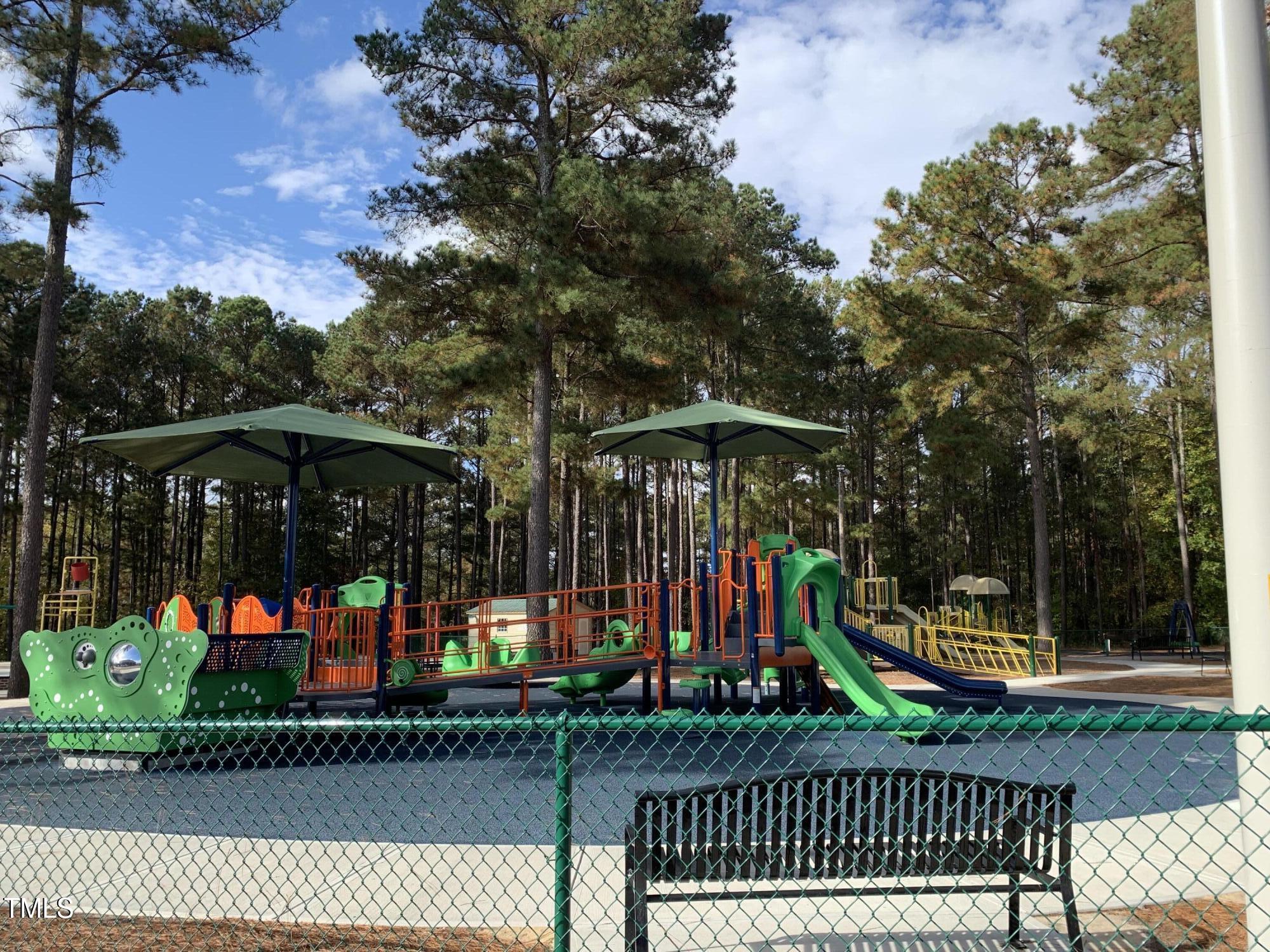 2883 Putnam Glendon Road Carthage, NC 28327 - Photo 61 of 64 Hillcrest Park Playground