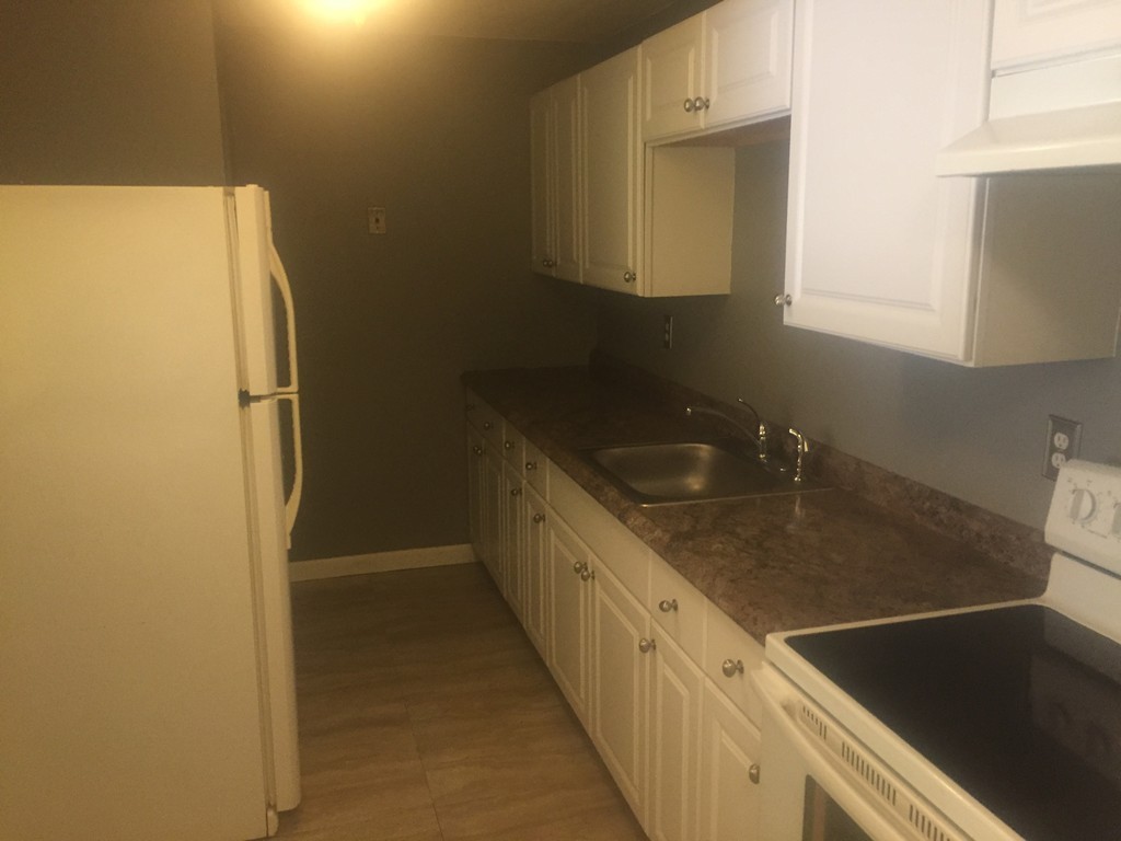 74 Springvale Avenue, Unit 11 Chelsea, MA 02150 - Photo 7 of 16 Gallery Image 7