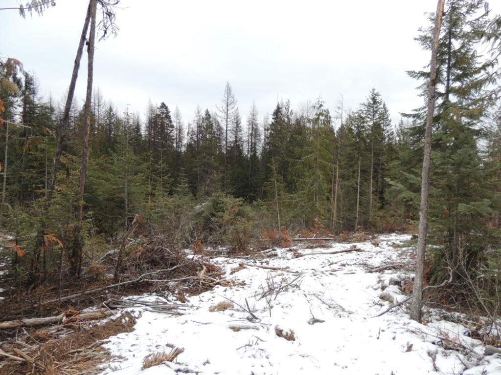 1096 B Wonch Road Colville, WA 99114 - Photo 1 of 5