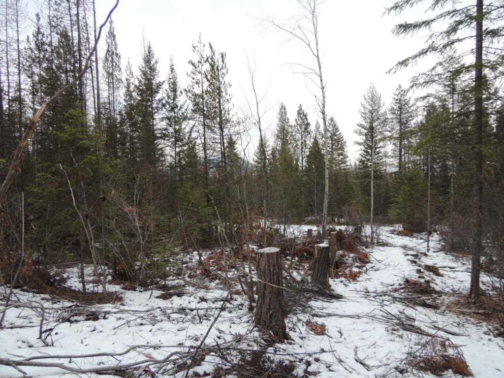 1096 B Wonch Road Colville, WA 99114 - Photo 3 of 5