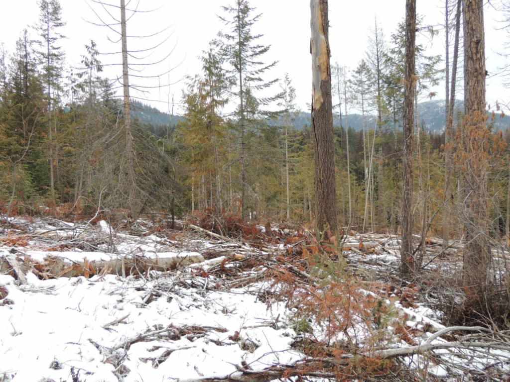 1096 B Wonch Road Colville, WA 99114 - Photo 5 of 5